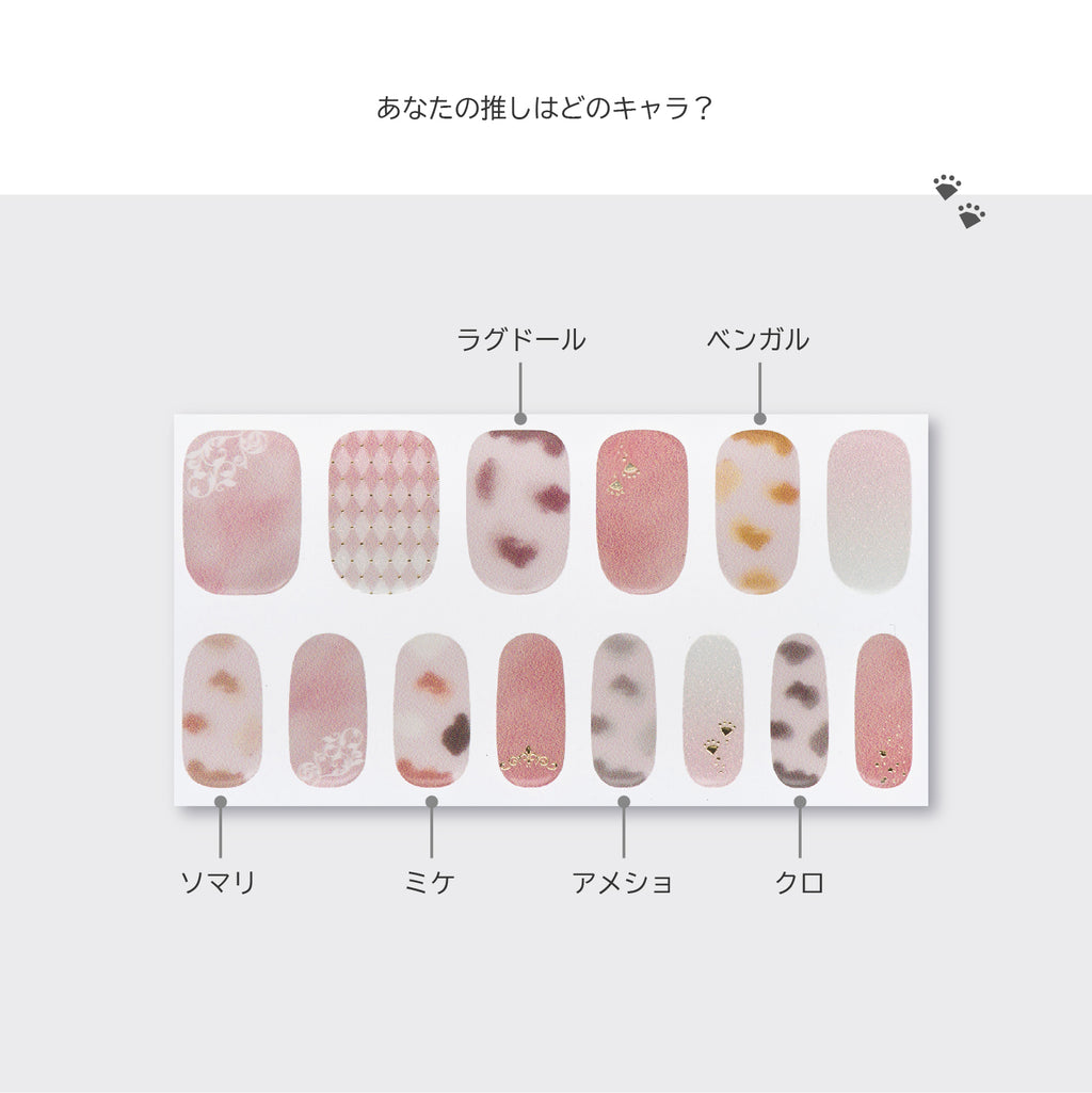 Club キャッテリア