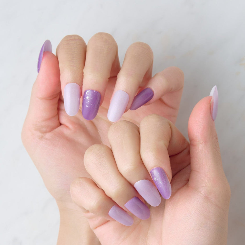 Member Color Collection / Purple