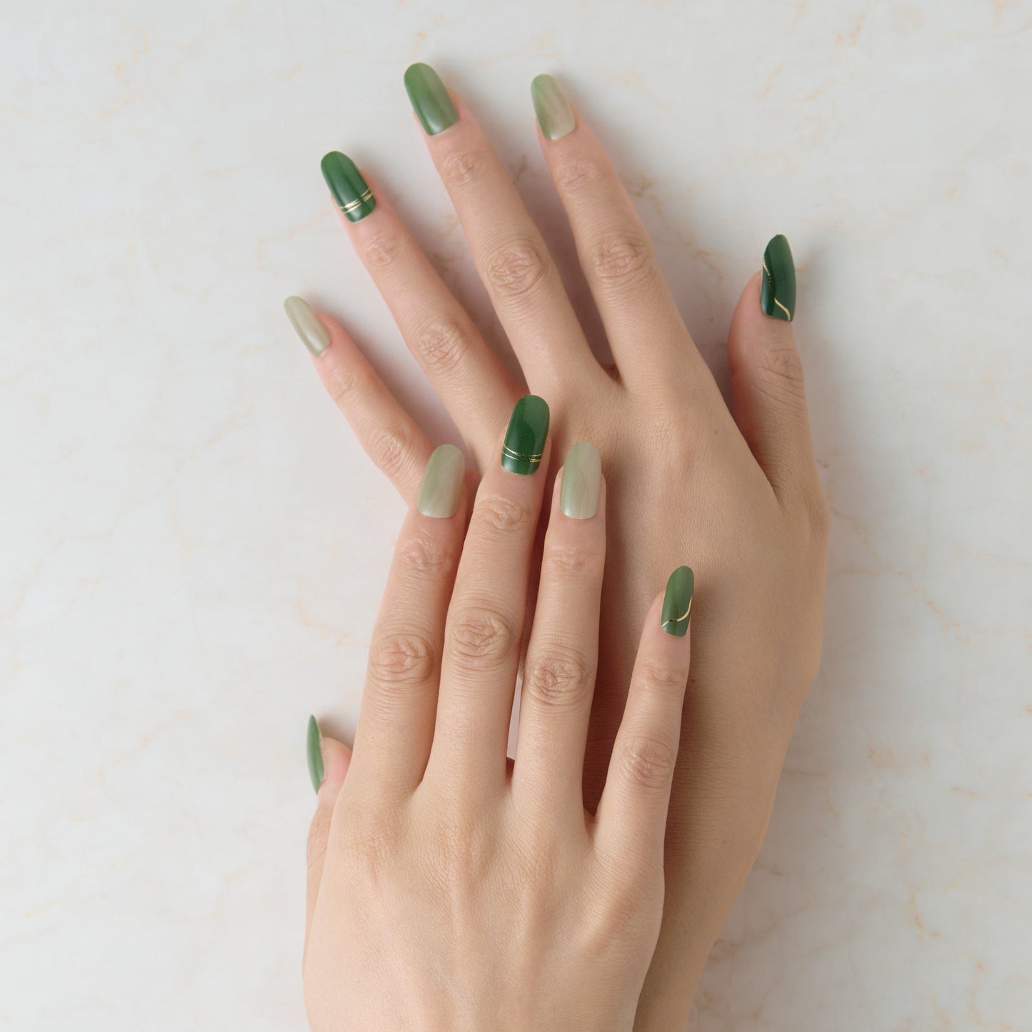 Member Color Collection / Green