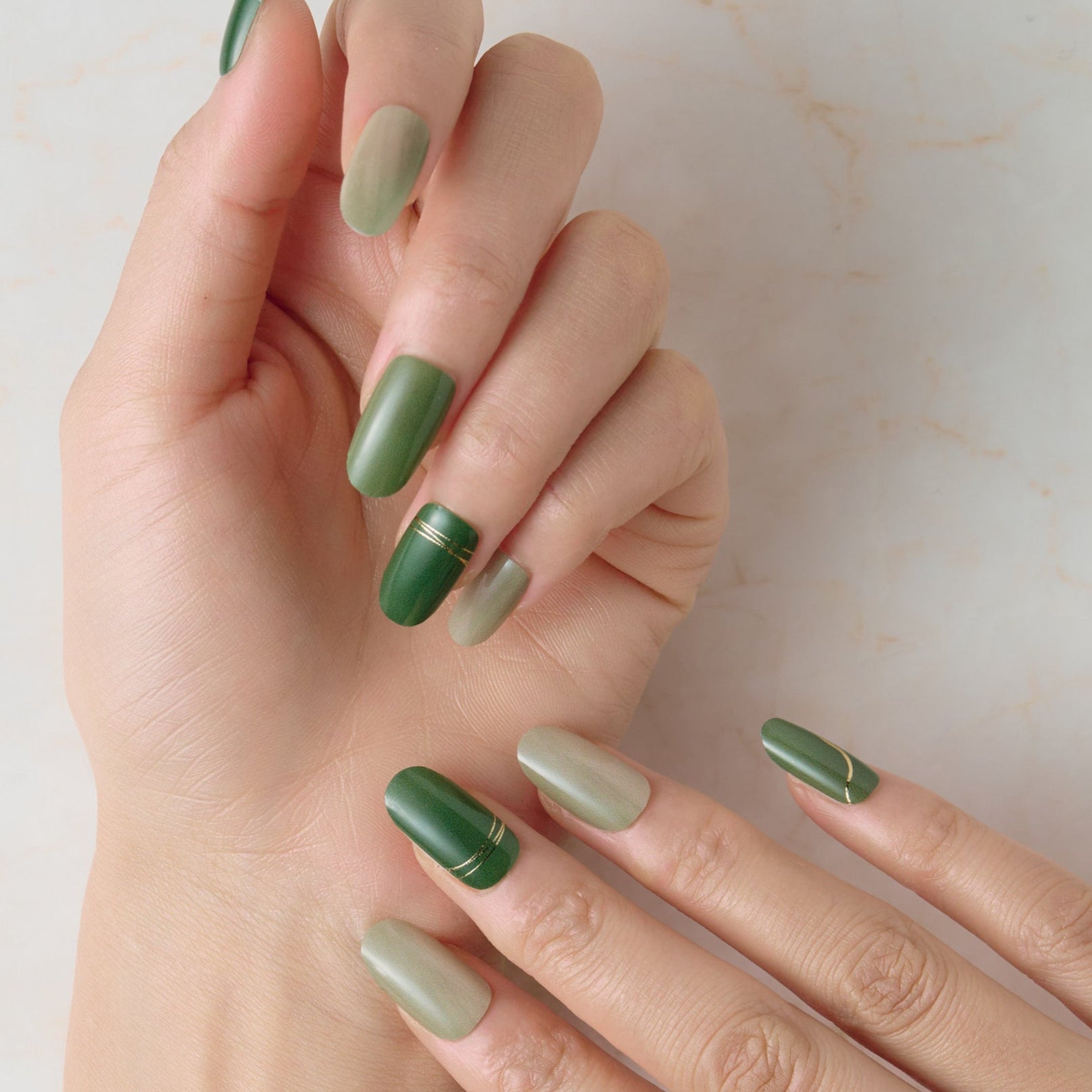 Member Color Collection / Green