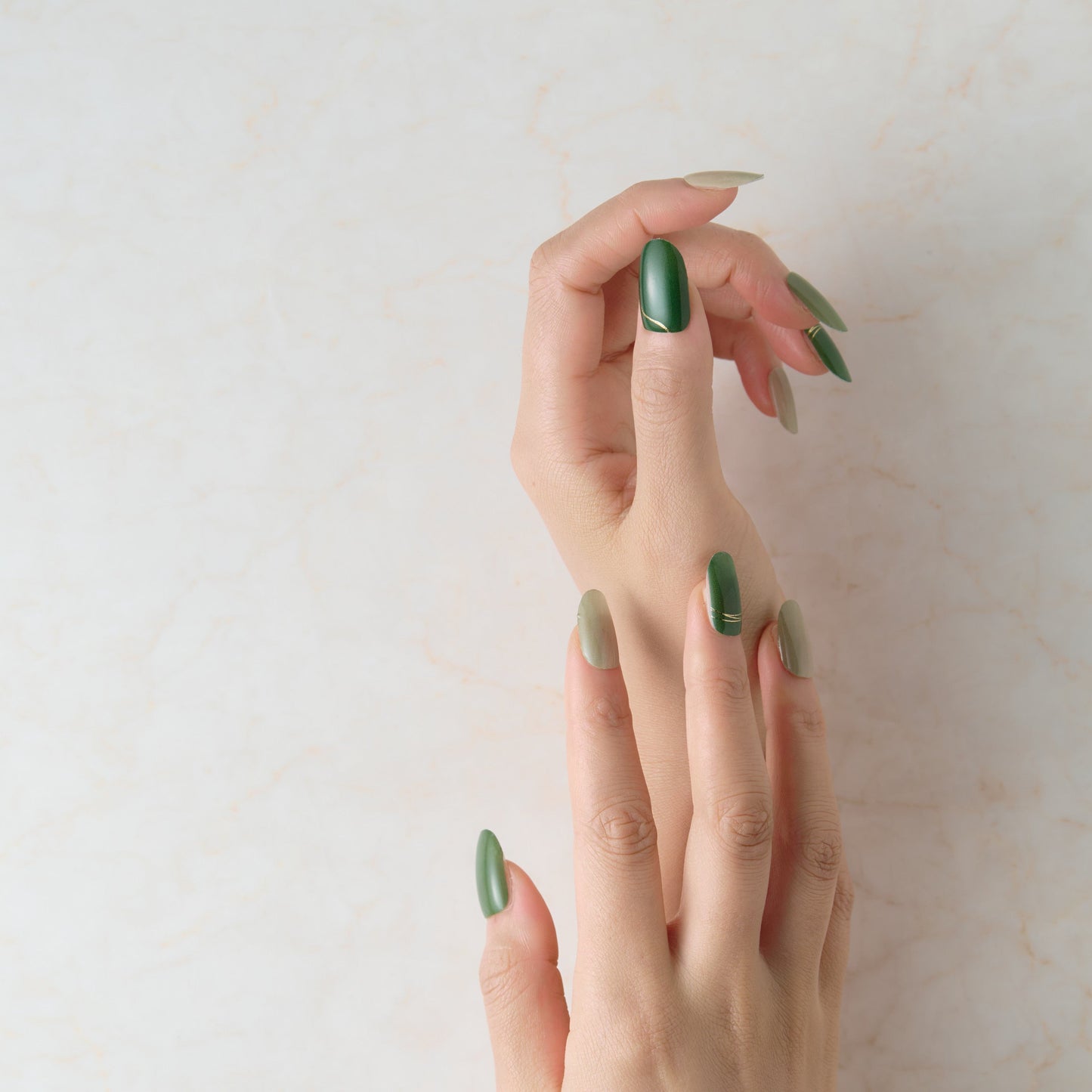 Member Color Collection / Green