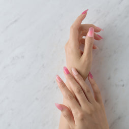 Member Color Collection / Pink