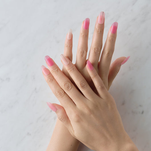 Member Color Collection / Pink