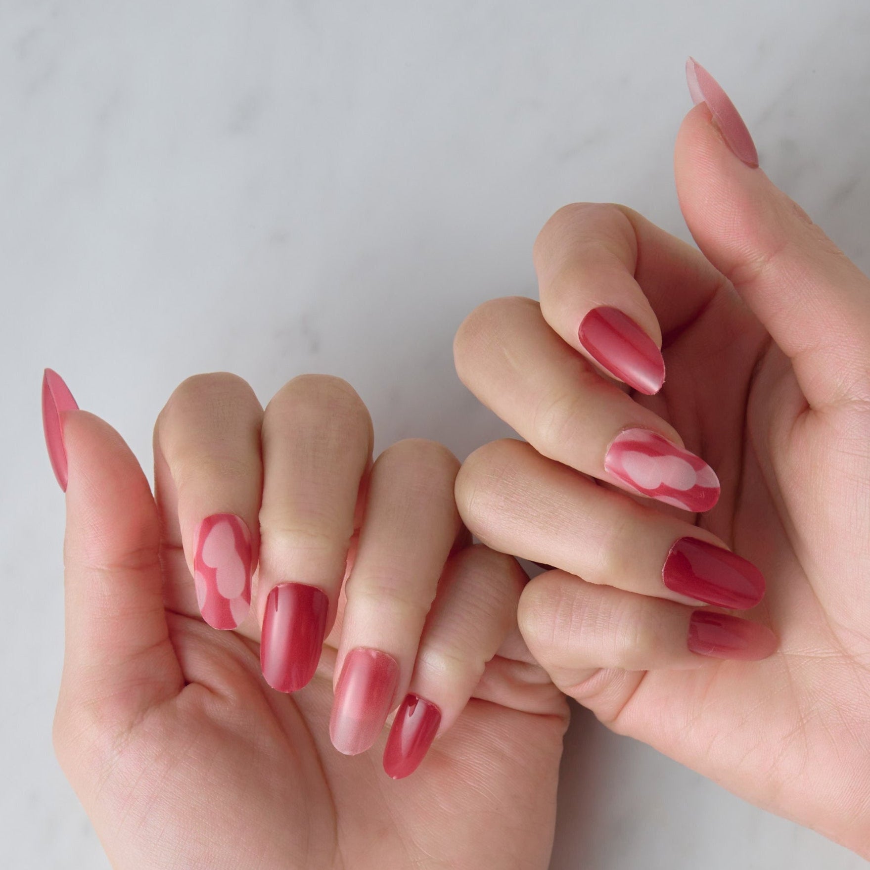 Member Color Collection / Red