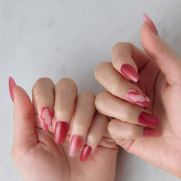 Member Color Collection / Red