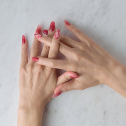 Member Color Collection / Red