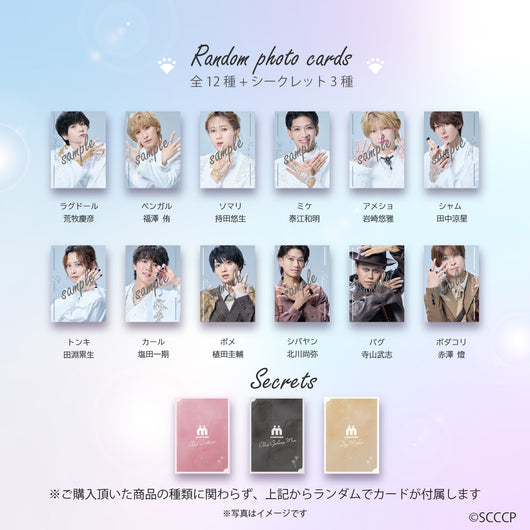 Stray City Collection / Club ドーシャ