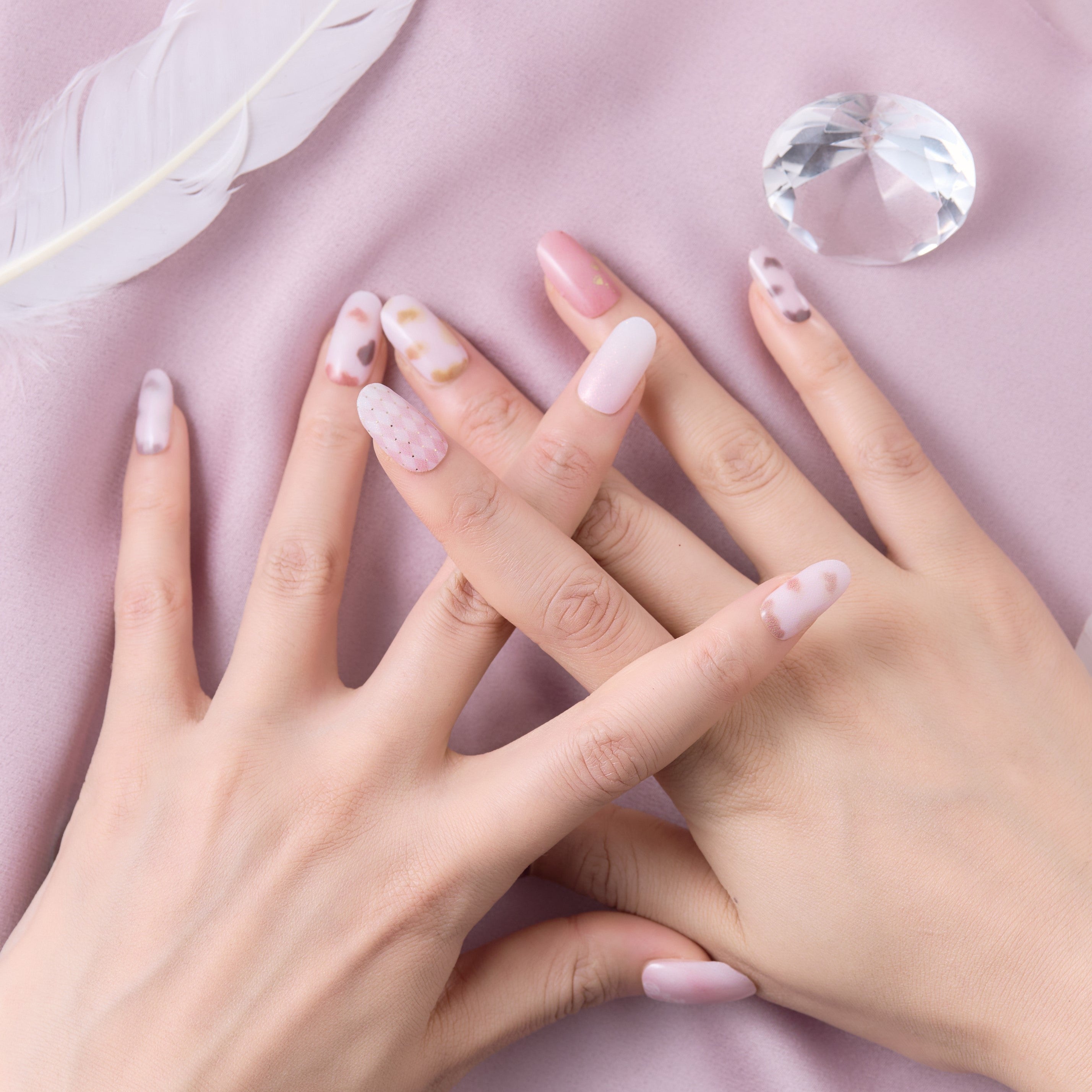 Stray City Collection / Club キャッテリア -【公式】muw maze