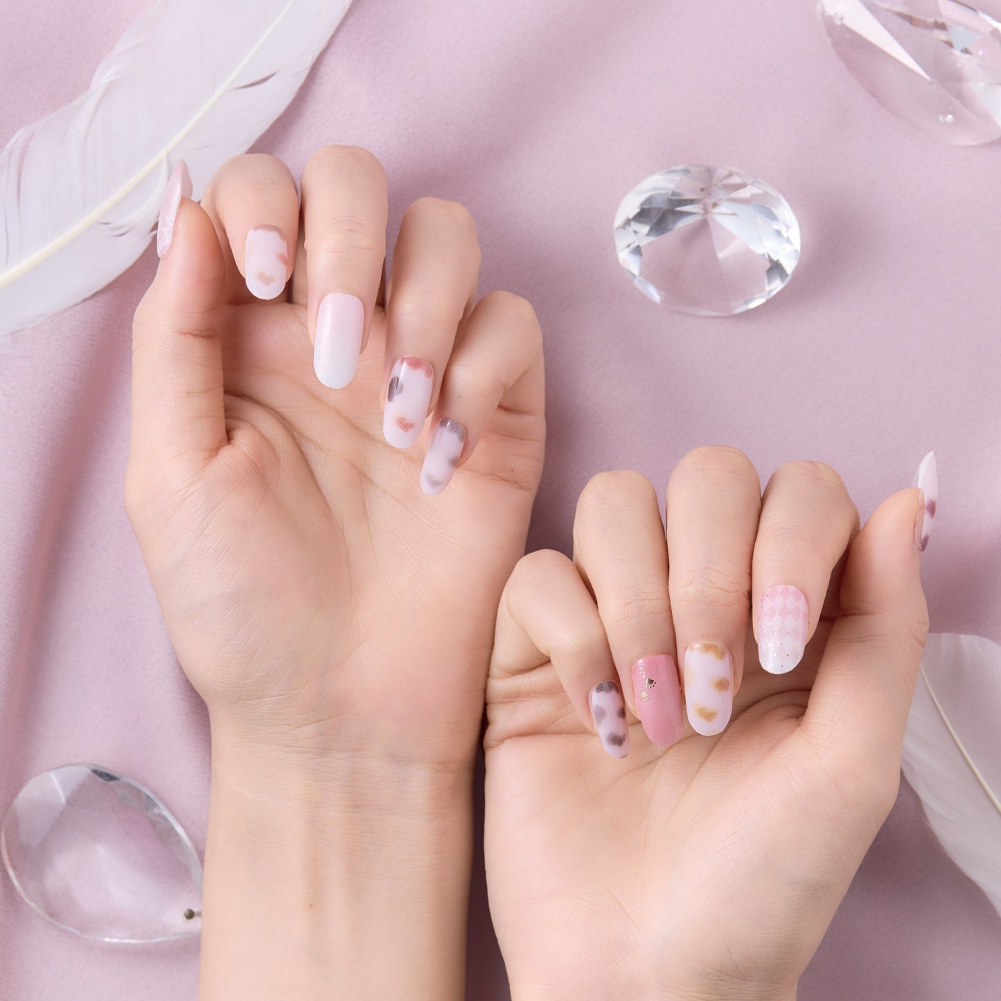 Stray City Collection / Club キャッテリア