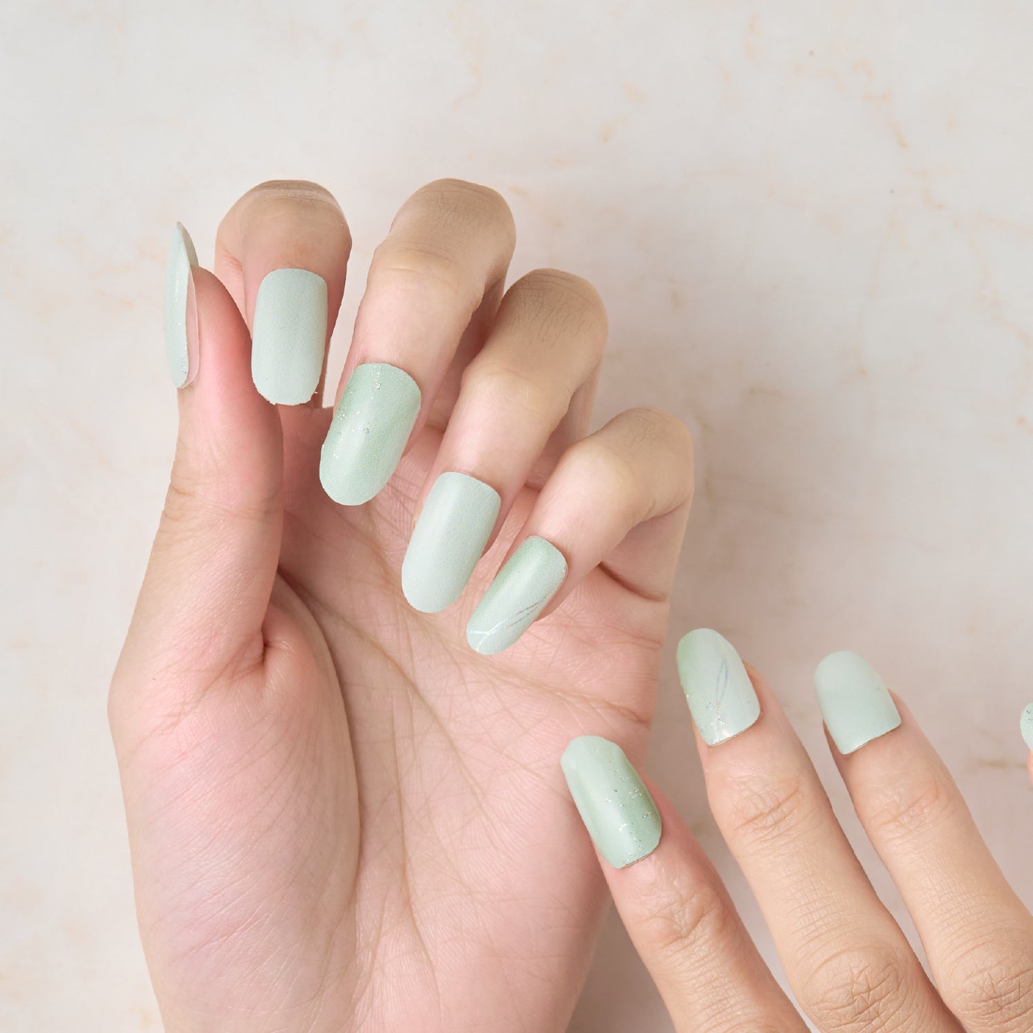 Member Color Collection / Lignt green