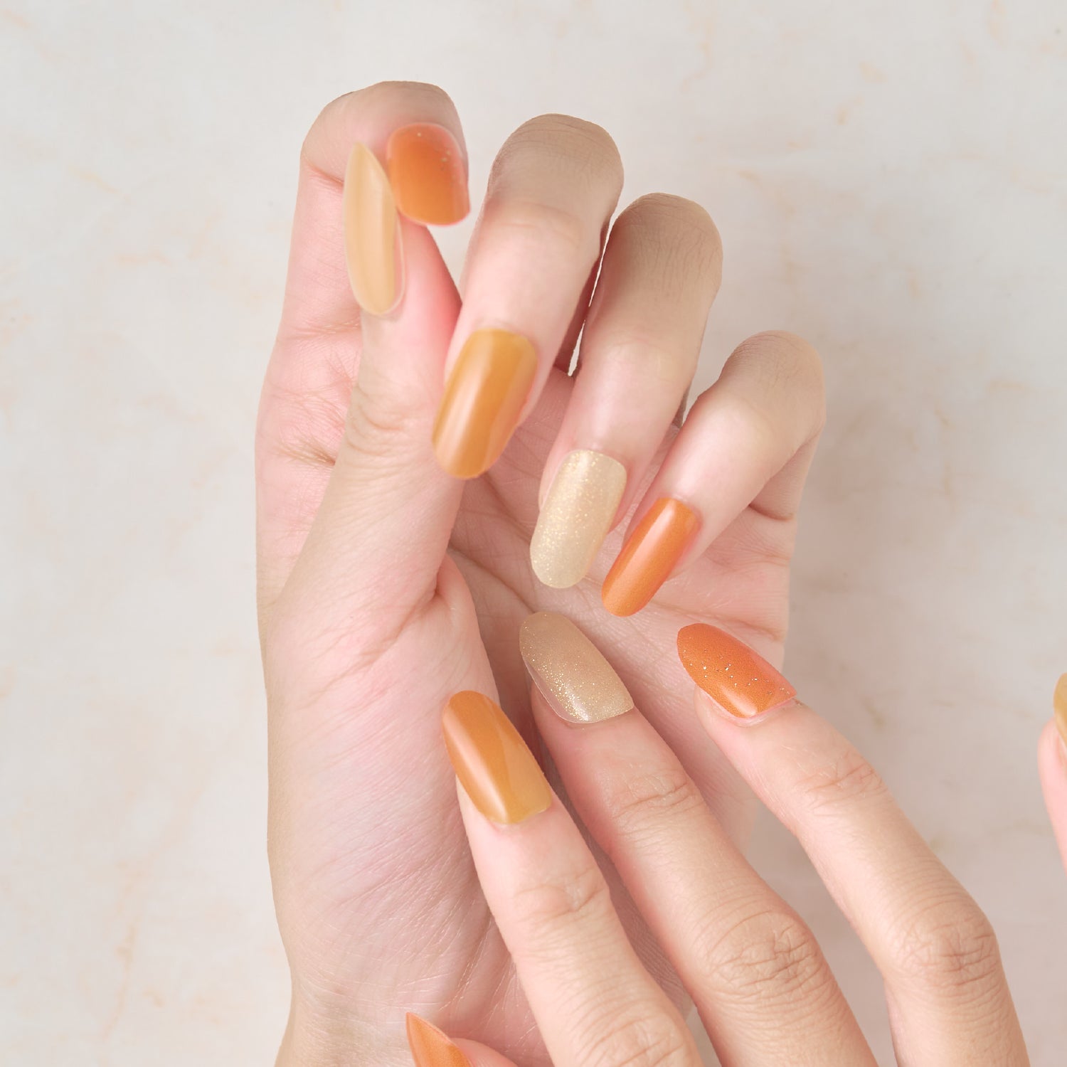 Member Color Collection / Orange