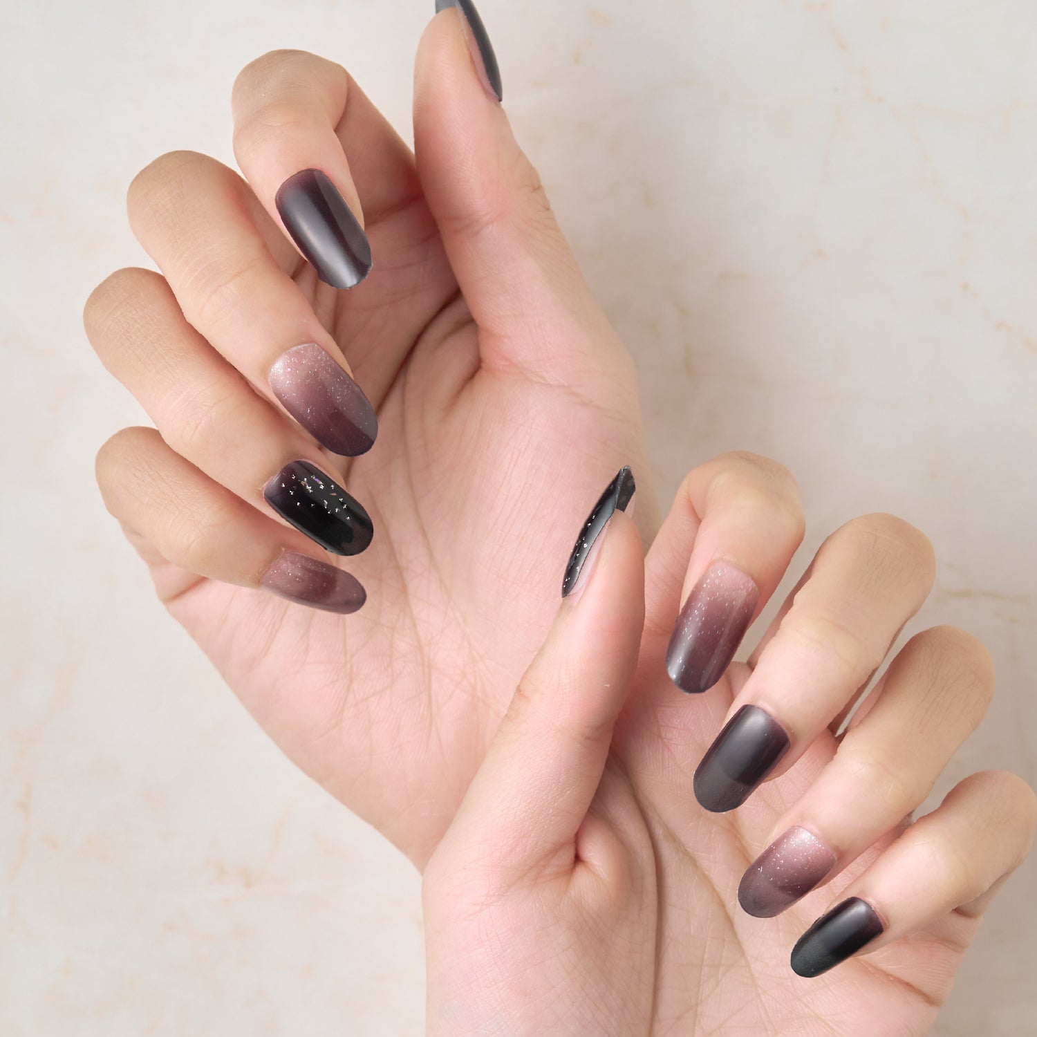 Member Color Collection / Black