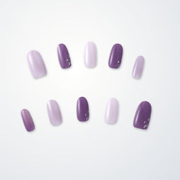 Member Color Collection / Purple