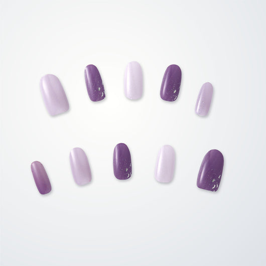 Member Color Collection / Purple