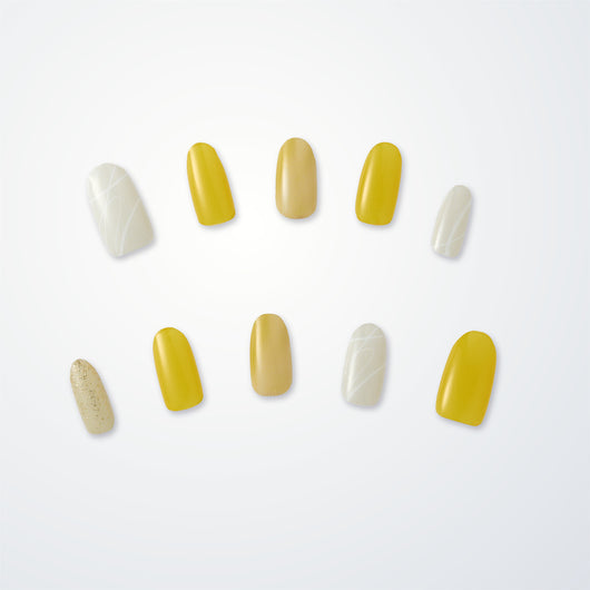 Member Color Collection / Yellow