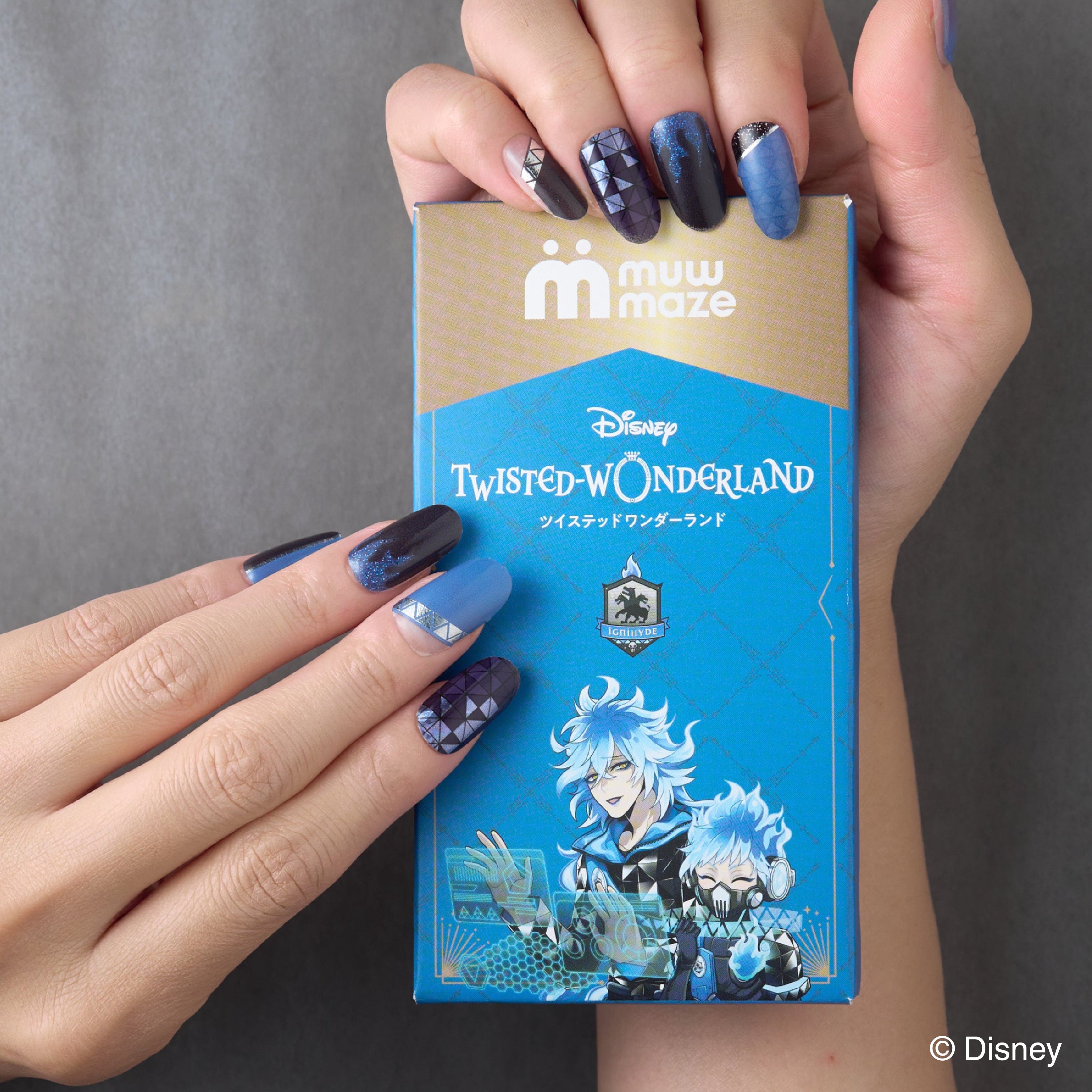 Disney Twisted Wonderland Collection　イグニハイド寮