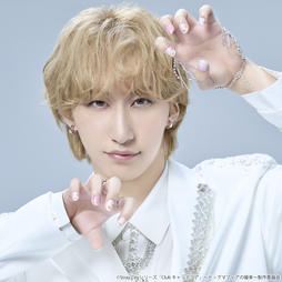 Stray City Collection / Club キャッテリア