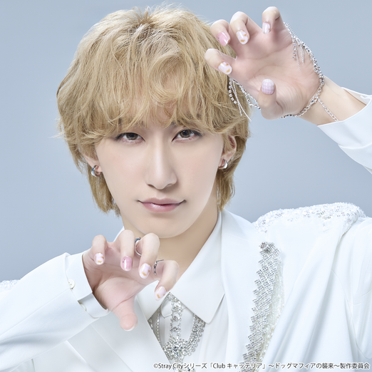 Stray City Collection / Club キャッテリア