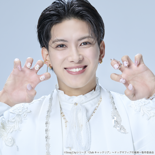 Stray City Collection / Club キャッテリア