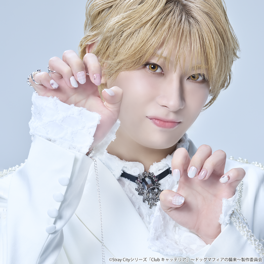 Stray City Collection / Club キャッテリア