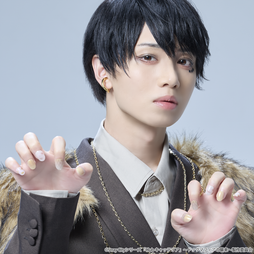 Stray City Collection / ドッグマフィア