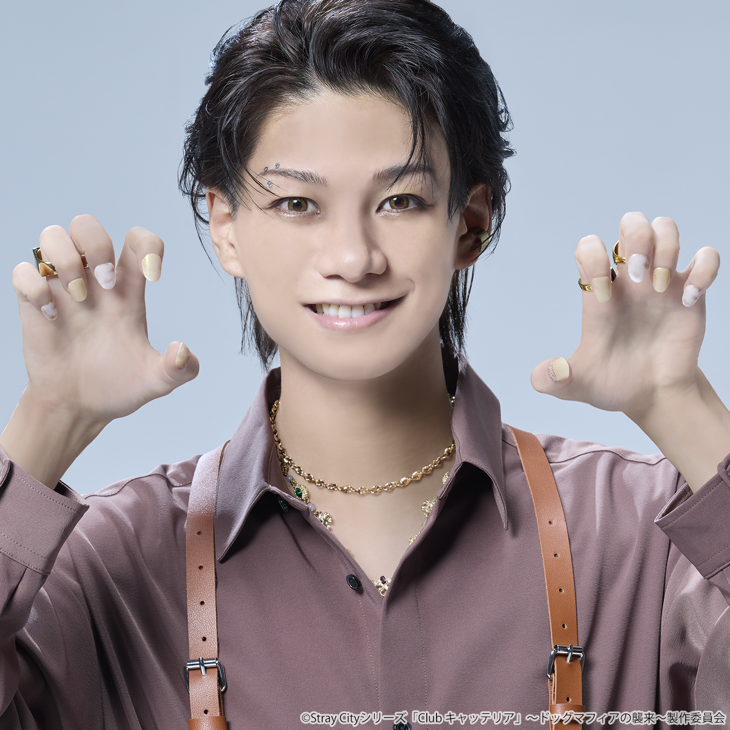 Stray City Collection / ドッグマフィア