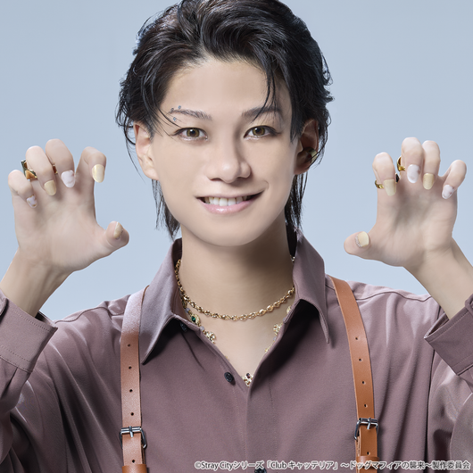 Stray City Collection / ドッグマフィア