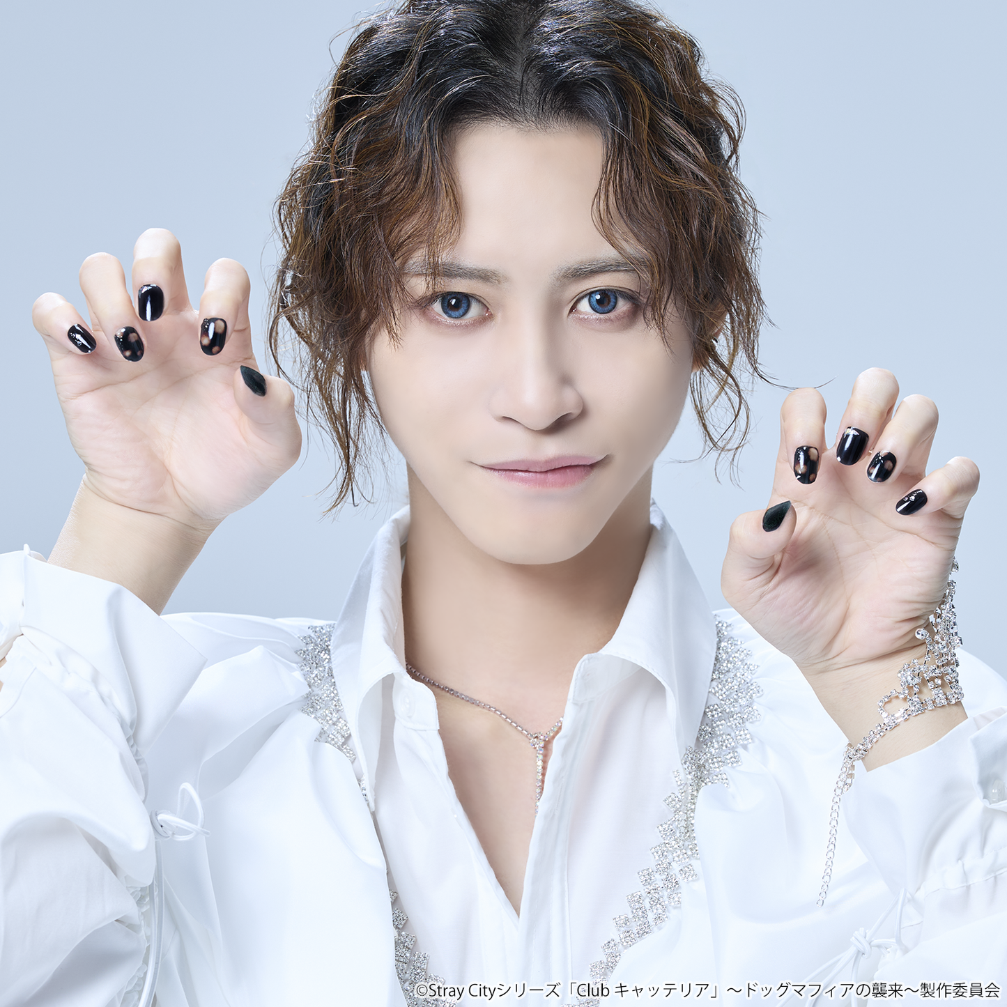 Stray City Collection / Club ギャラクシーMAO