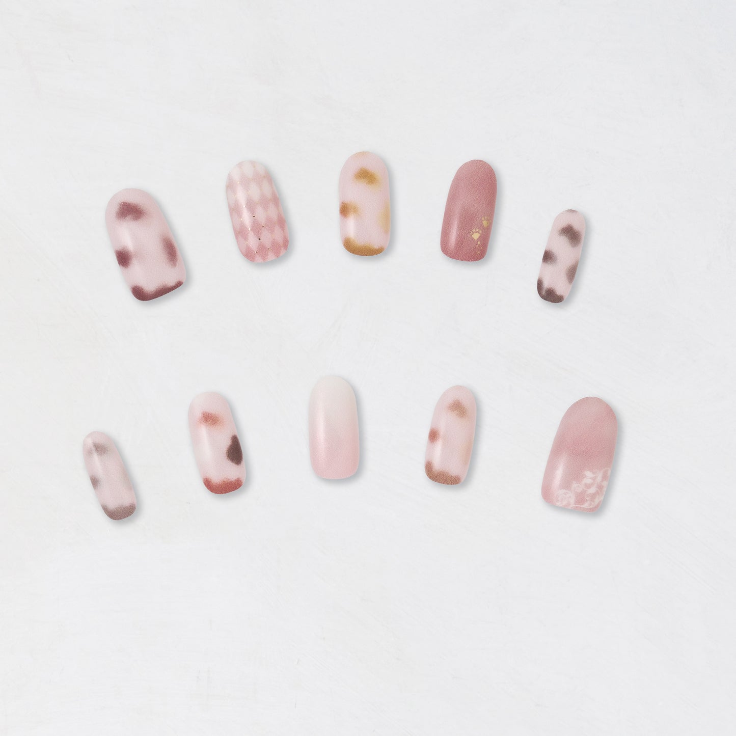 Stray City Collection / Club キャッテリア