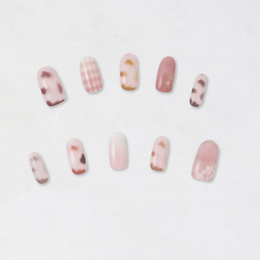 Stray City Collection / Club キャッテリア