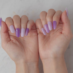 Member Color Collection / Purple