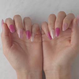 Member Color Collection / Pink