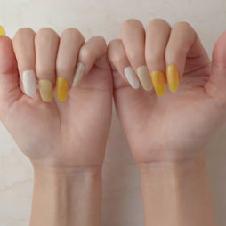 Member Color Collection / Yellow