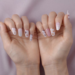 Stray City Collection / Club キャッテリア