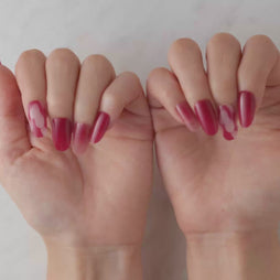 Member Color Collection / Red