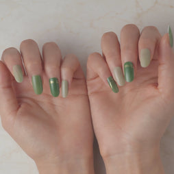 Member Color Collection / Green